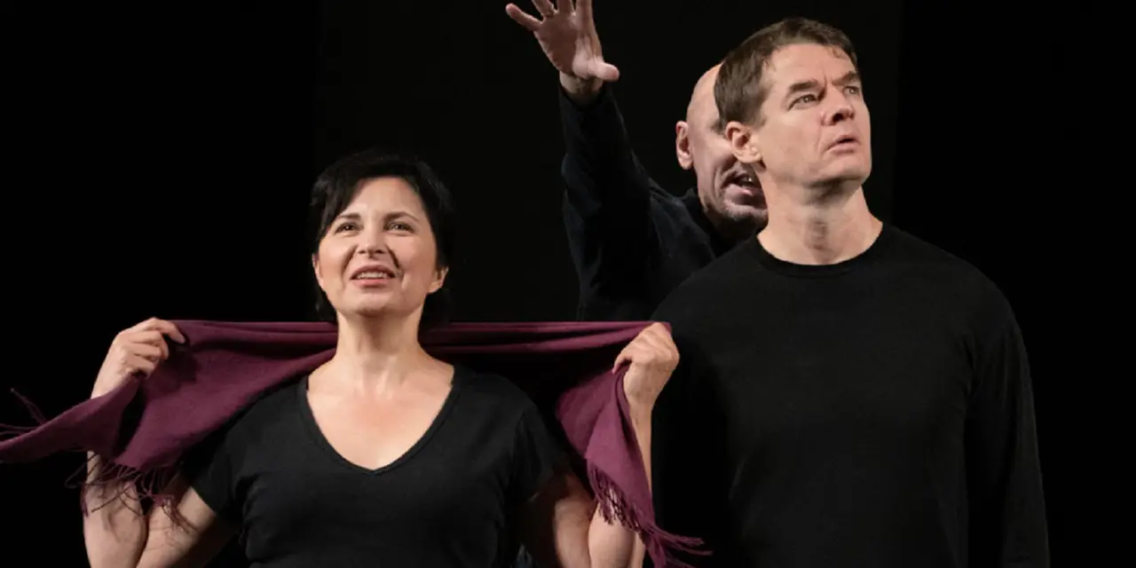 Пролетный гусь